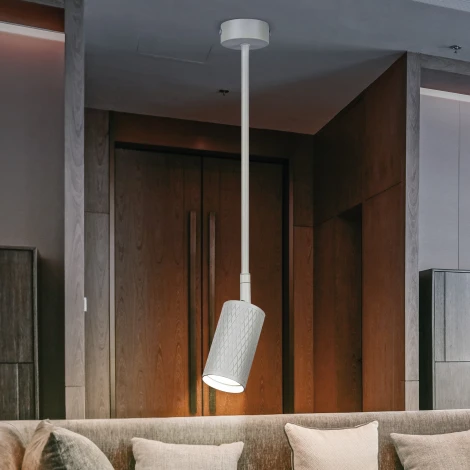 Спот на штанге ЭРА OL45 WH (220V)