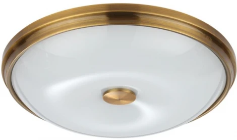 Настенно-потолочный светильник Odeon Light Pelow 4956/4 (220V, круглые)