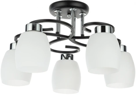 Потолочная люстра Arte Lamp Krit A4505PL-5BK