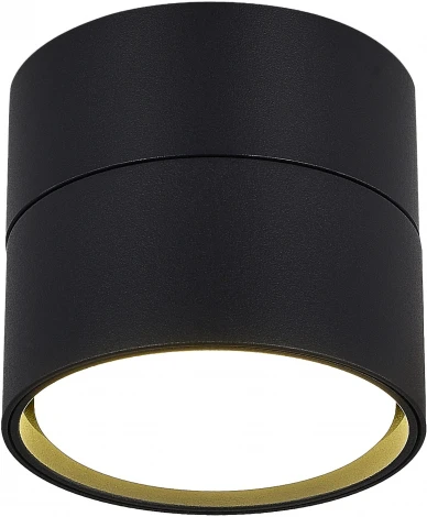 Светильник потолочный ST Luce  ST651.402.01Черный GX53 1*50W 220V