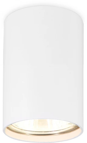 Точечный накладной светильник TECHNO SPOT TN213101 (220V)