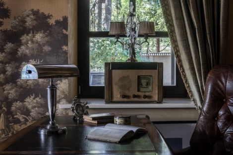 Интерьерная настольная лампа Covali NL-51321 (220V)