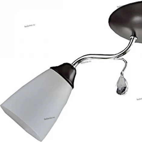 Люстра потолочная Toscom Tori, 2 плафона, венге с хромом, белым и прозрачным