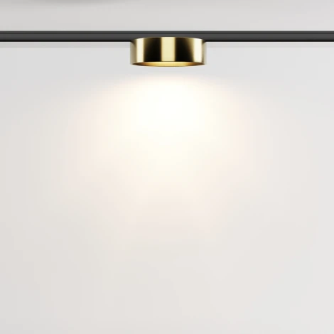 Трековый светильник магнитный 12W 24V Maytoni Zon TR189-1-12W3K-BBS (LED, круглые)