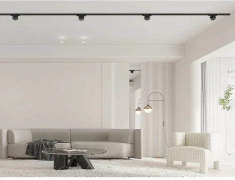 Трековый светильник магнитный 48V iLedex Vision48/25 SMART 4825-049-D74-10W-60DG-BK (регулировка яркости, управление смартфоном, умный дом - Алиса, круглые)