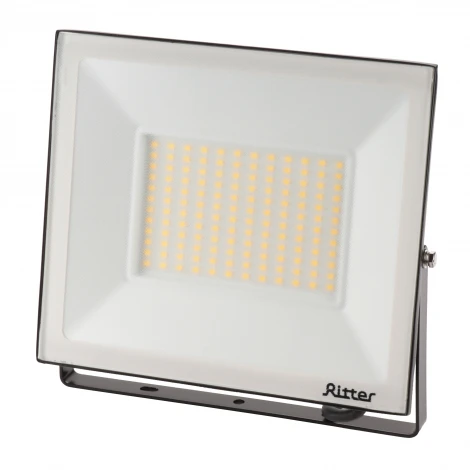 Прожектор уличный светодиодный Ritter PROFI 53419 2