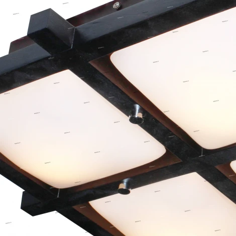 Потолочный светильник Дубравия Дина 192-41-24