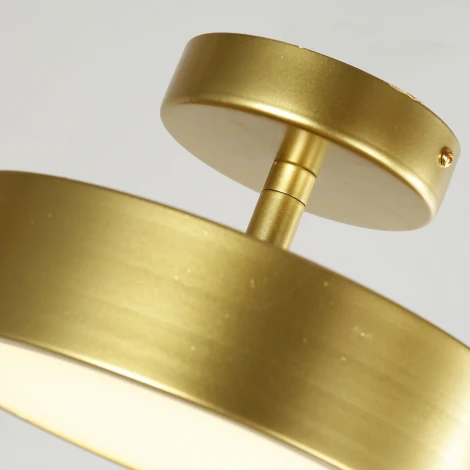 Потолочный светильник круглый F-Promo Atma 3059-2P (LED, 220V, круглые)