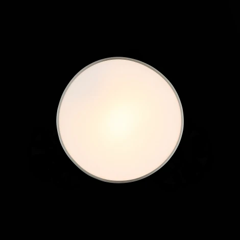 Настенно-потолочный светильник ST Luce Bagno SL468.502.01