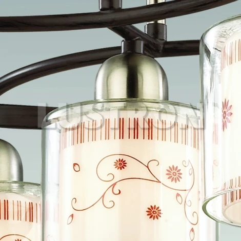 Потолочная люстра Odeon Light Marti 2616/5C