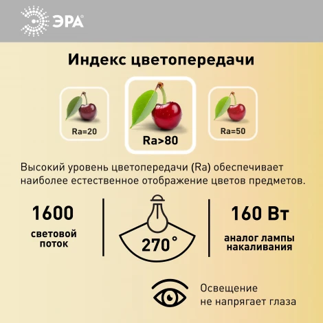 Лампочка светодиодная E27 20W ЭРА LED POWER T80-20W-4000-E27