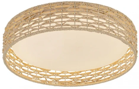 Потолочный светильник круглый LED F-Promo Conrad 4749-4C (регулировка яркости, 220V, пульт управления, круглые)