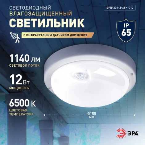 Потолочный светильник светодиодный с ИК датчиком движения ЭРА SPB-2 SPB-201-3-65K-012