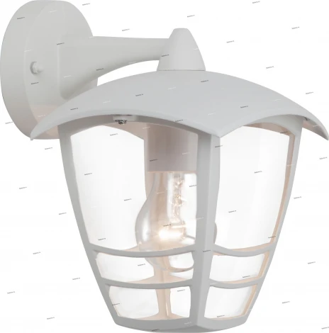 Бра уличное Brilliant Riley, 1 плафон, белый, прозрачный