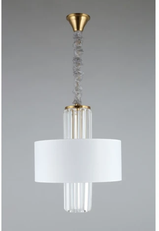 Подвесная люстра Aployt Karola APL.841.13.04 (220V, на цепи, круглые)