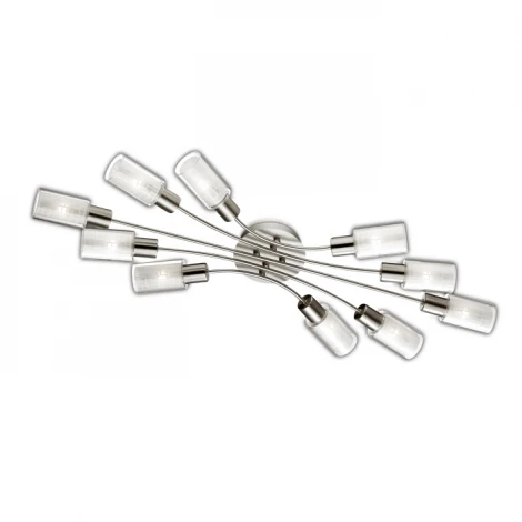 Потолочная люстра Odeon Light Hales 2613/10C
