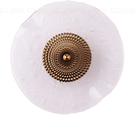 Настенный светильник Grammy 20189 Cloyd (LED, 220V, круглые)