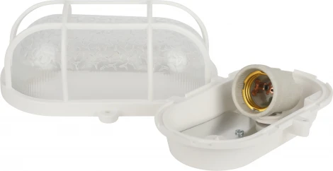 Настенно-потолочный светильник ЭРА НБП 01-60-002 (220V, IP53)