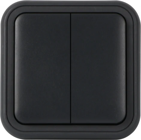 Рамка с клавишей для скрытой установки переключателя двухклавишного, цвет антрацит, IP55, серия W55 Donel W55 DIP60828