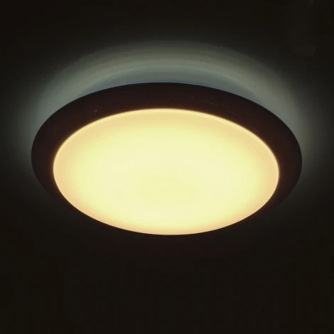 Потолочный светильник MW-Light Ривз 674014201