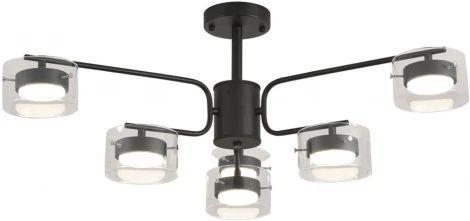 Потолочная люстра на штанге Lumion Natalina 8349/6C черный/прозрачный, металл/стекло LED GX53 6*7W 220V