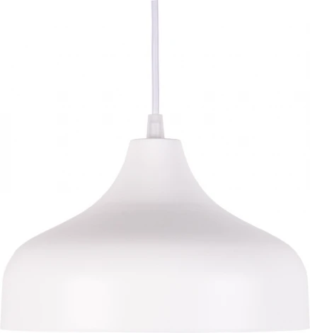 Подвесной светильник PS1N 000039513