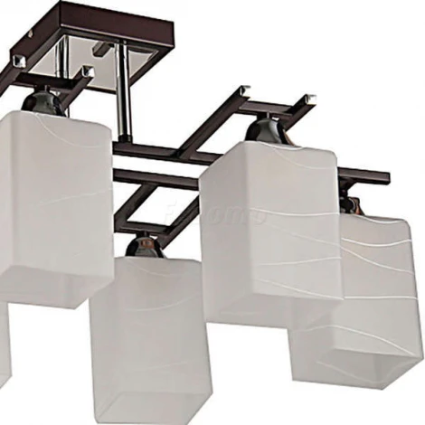 Потолочная люстра Toscom Borneo TC-100-506