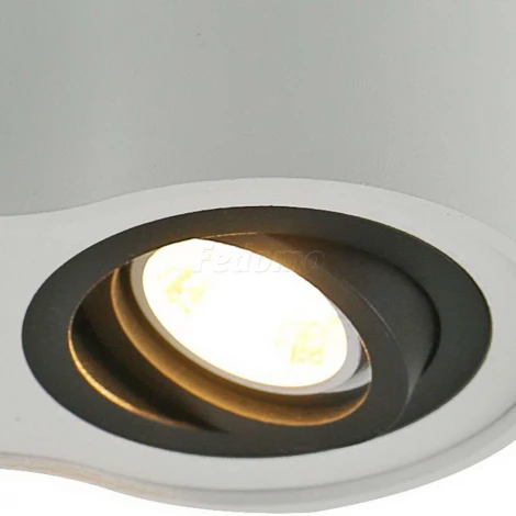 Накладной точечный светильник Arte Lamp Falcon A5644PL-2WH