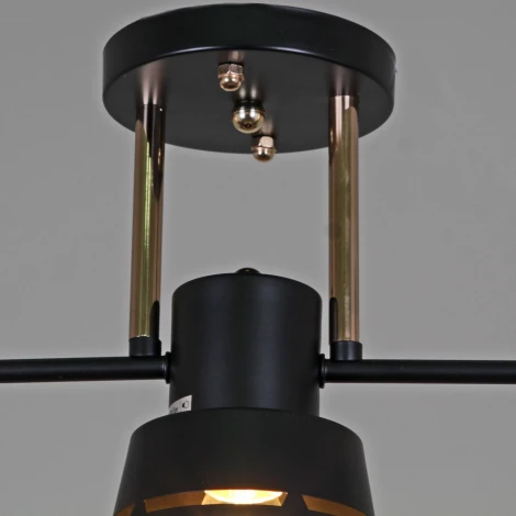 Потолочная люстра на штанге Reluce 06074-3.3-03 BK+FG (220V)