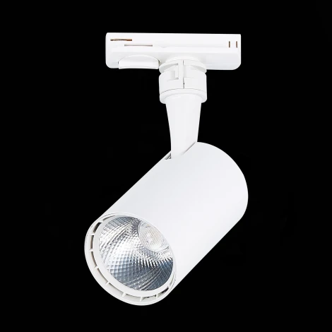 Трековый светильник ST Luce Cami ST351.546.10.36 (LED, 220V, круглые, IP22)