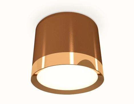 Накладной точечный светильник Ambrella Techno Spot XS8117001 (220V, круглые)