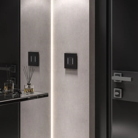 Умный сенсорный выключатель двухклавишный с подсветкой (черный) Werkel W4523008 (a064142)