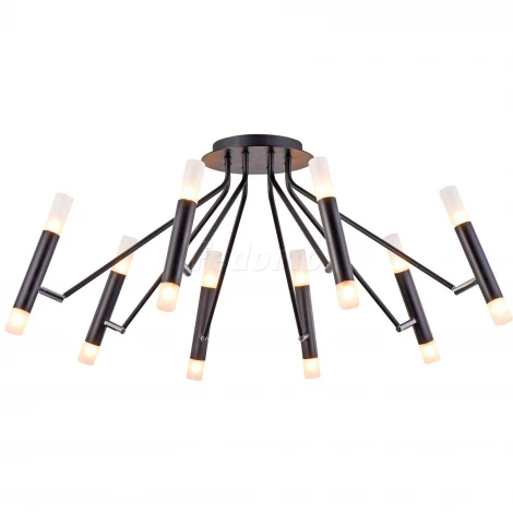 Потолочная люстра Maytoni Vigo MOD620CL-16B (220V)