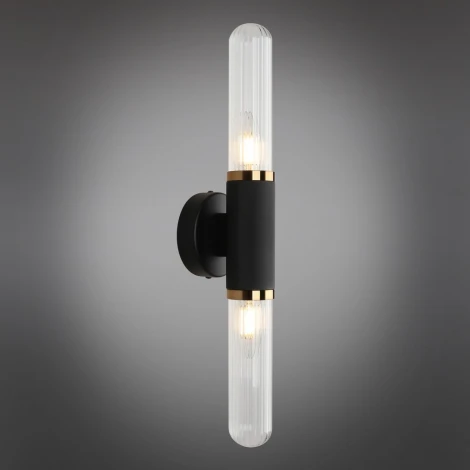 Бра Aployt Brynia APL.307.31.02 (220V, круглые)