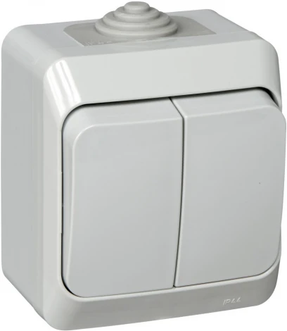 Выключатель накладной двухклавишный (серый) IP44 Systeme Electric BA10-042C