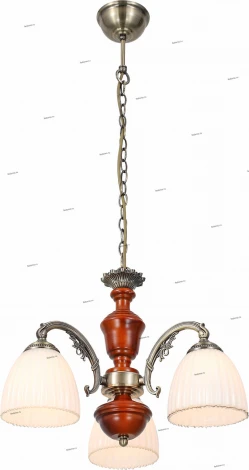 Подвесная люстра ST Luce Fiore 2 SL151.303.03