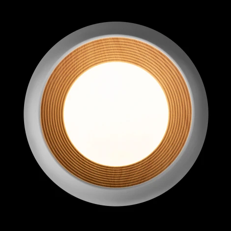 Потолочный светильник круглый Loft It Folk 10255/350 White (LED, 220V, круглые)