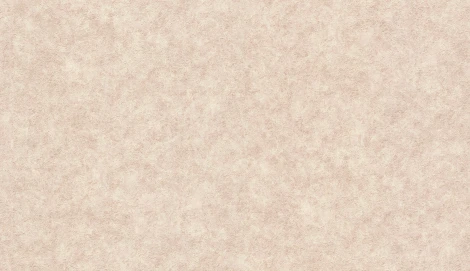 Обои виниловые Erismann Marseille 60210-06 10,05 х 1,06 м