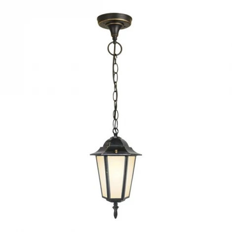 Уличный светильник подвесной Elektrostandard Claro GL 1004H черное золото