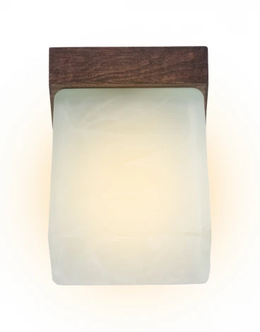 Потолочный светильник прямоугольный Мелодия Света SS1N 000036814