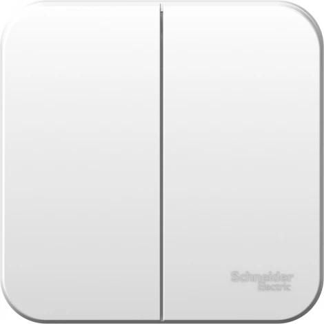 Выключатель накладной двухклавишный (белый) Systeme Electric Blanca BLNVA065021