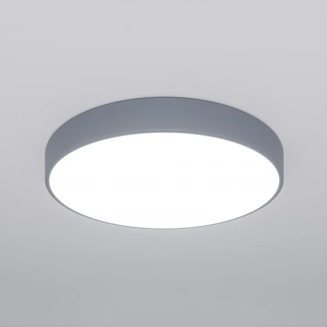 Потолочный светильник круглый Eurosvet Entire 90320/1 серый (регулировка яркости, LED, 220V, пульт управления, круглые)