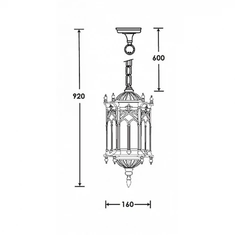Уличный светильник подвесной Oasis Light 89905S Bl
