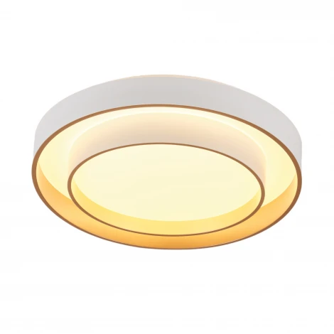 Потолочный светодиодный светильник круглый MyFar Rhea MR9161-CL (регулировка яркости, 220V, пульт управления, круглые)