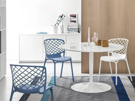 Стул пластиковый Gamera Connubia