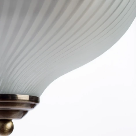 Потолочный светильник Arte Lamp Aqua-plate A9370PL-2AB
