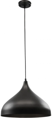 Подвесной светильник Arte Lamp Carmel A7076SP-1BK (220V, на проводе)