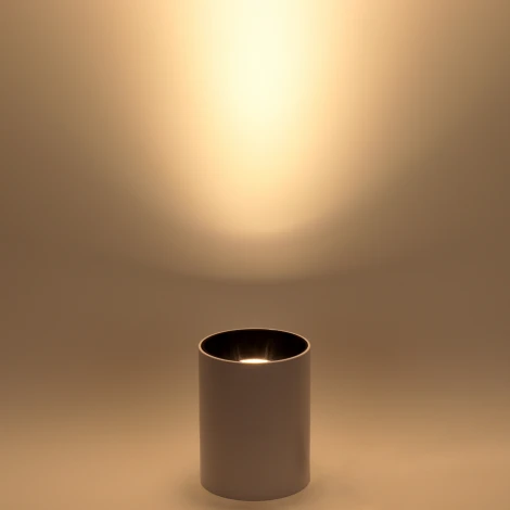 Накладной светильник Ritter Arton 59978 4