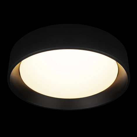 Потолочный светильник светодиодные Loft It Coin 10202 BB