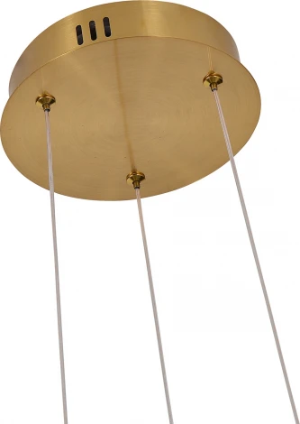 Подвесной светильник F-Promo Vendel 4470-3P (LED, 220V, на проводе)